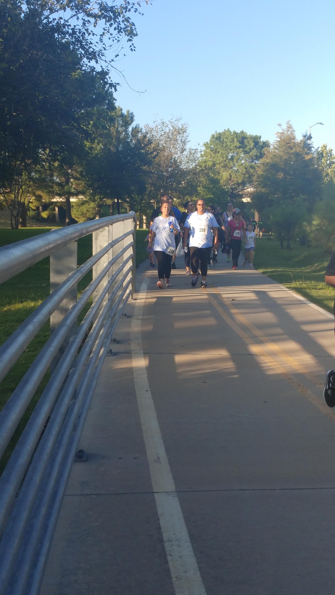 Bridge Walk